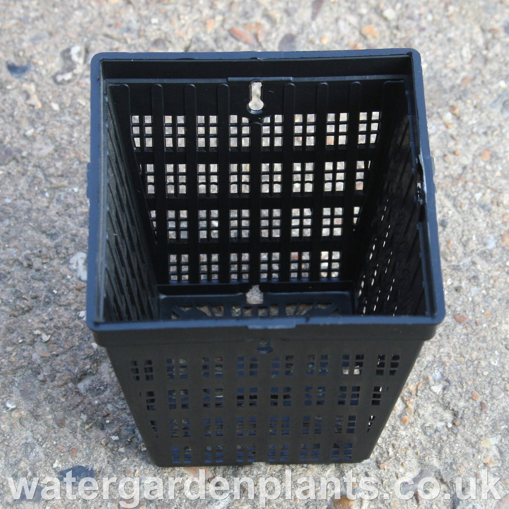 Mini Square Fine Mesh Plant Basket (9cm x 10cm, ½ litre) – Water Garden ...